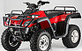 Show the detailed information for this 2009 OTHER 300cc-SHAFTDRIVE UTILITY.