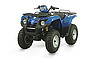 Show the detailed information for this 2009 SYM Quad Raider 600.