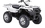 Show the detailed information for this 2010 SUZUKI KingQuad 500AXi Power Ste.
