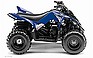 2009 Yamaha Raptor 90.