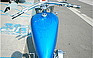 Show more photos and info of this 2008 ARLEN NESS HIGHLINER.