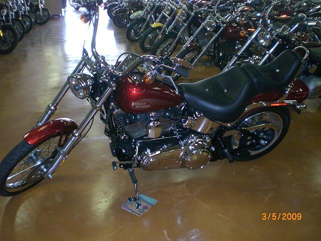 2008 HARLEY-DAVIDSON FXSTC SOFTAIL CUSTOM San Antonio TX Photo #0056761A