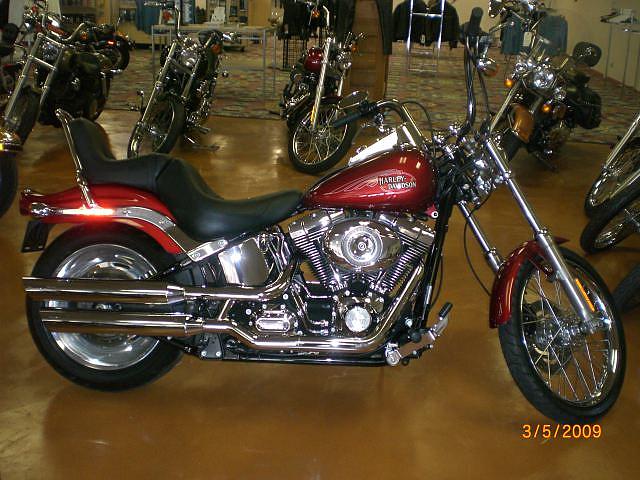 2008 HARLEY-DAVIDSON FXSTC SOFTAIL CUSTOM San Antonio TX Photo #0056761A