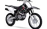 Show the detailed information for this 2008 Suzuki DR-Z125.