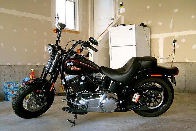 2009 HARLEY-DAVIDSON CROSS BONES Bristow VA Photo #0057185A