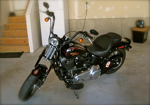 2009 HARLEY-DAVIDSON CROSS BONES Bristow VA Photo #0057185A