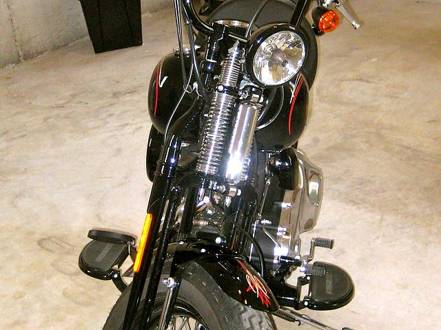 2009 HARLEY-DAVIDSON CROSS BONES Bristow VA Photo #0057185A