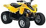 Show the detailed information for this 2009 Can-Am DS 90.