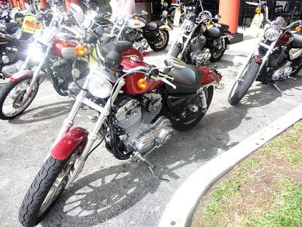 2004 Harley-Davidson Sportster XL 883 Orlando FL Photo #0057849D