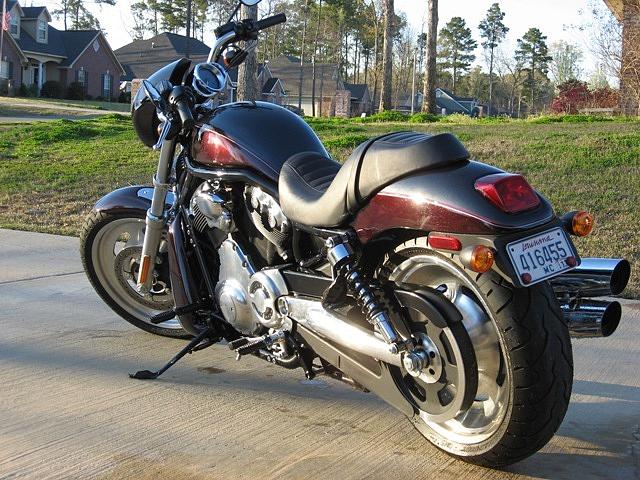 2006 HARLEY-DAVIDSON NIGHT ROD Montgomery AL Photo #0058449A