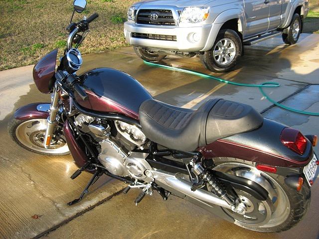 2006 HARLEY-DAVIDSON NIGHT ROD Montgomery AL Photo #0058449A