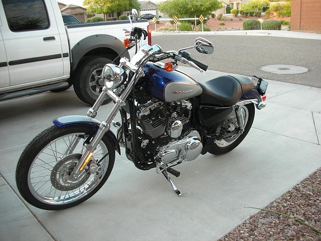 2006 HARLEY-DAVIDSON Sportster 1200 CUSTOM GLENDALE AZ Photo #0058451A