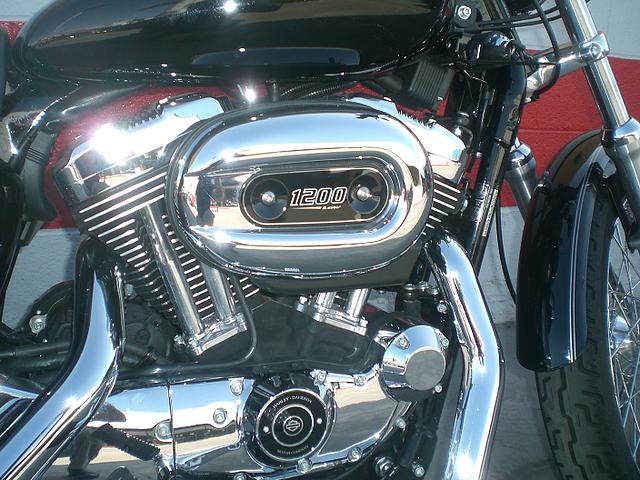 2006 HARLEY-DAVIDSON Sportster 1200 Low Harbor City CA Photo #0058452C