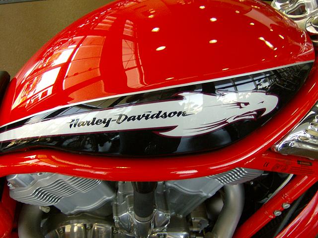 2006 HARLEY-DAVIDSON VROD DESTROYER Leesburg FL Photo #0058455E