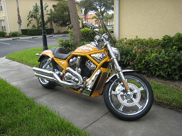 2006 Harley-Davidson VRSCSE Bradenton FL Photo #0058463A