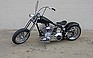 Show the detailed information for this 2006 EVOLUTION BIKE WORKS Custom Built.