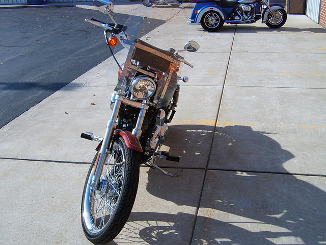 2007 HARLEY-DAVIDSON XL1200C Custom Munster IN Photo #0058951D