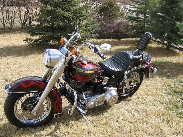 1981 HARLEY-DAVIDSON FLHS ELECTRA GLD MISSOULA MT Photo #0059262B