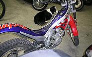 Photo #0059374A