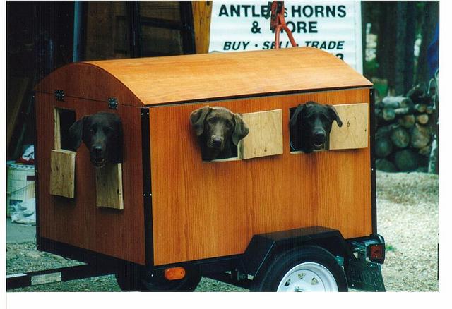 pull behind dog trailer