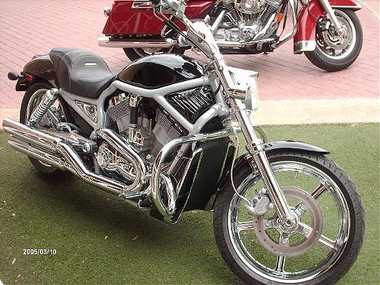 2003 Harley-Davidson VRSCA V-Rod Peoria AZ Photo #0059876B