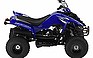 2008 Yamaha Raptor 50.