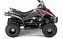 2008 Yamaha Raptor 50.