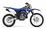 Show more photos and info of this 2008 YAMAHA TT-R125LE.