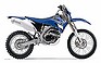 Show the detailed information for this 2008 YAMAHA WR250F.