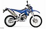 Show the detailed information for this 2008 Yamaha WR250R.