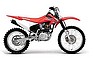 Show the detailed information for this 2009 HONDA CRF230F.