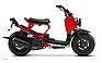 Show the detailed information for this 2009 HONDA Ruckus.