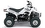 Show the detailed information for this 2006 Yamaha Raptor 50.