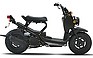 Show the detailed information for this 2008 HONDA Ruckus.