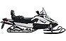 Show the detailed information for this 2010 ARCTIC CAT T Z1.