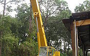 Photo #0064891A