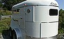 Show the detailed information for this 2009 DELTA Bronco 2 Horse.