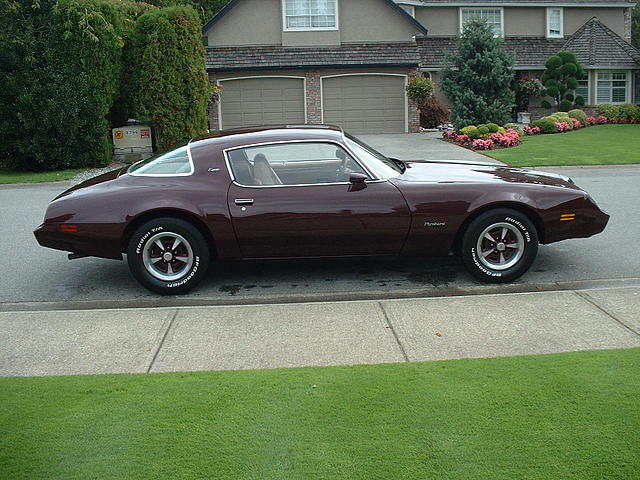 1980 pontiac firebird delta b c v4m3z9 Photo #0079358A