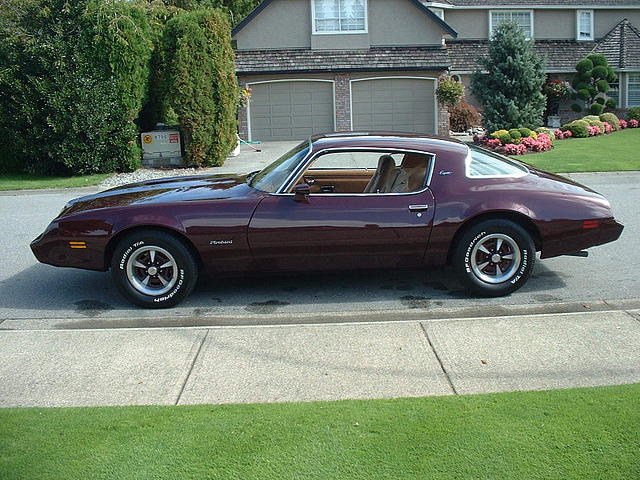 1980 pontiac firebird delta b c v4m3z9 Photo #0079358A