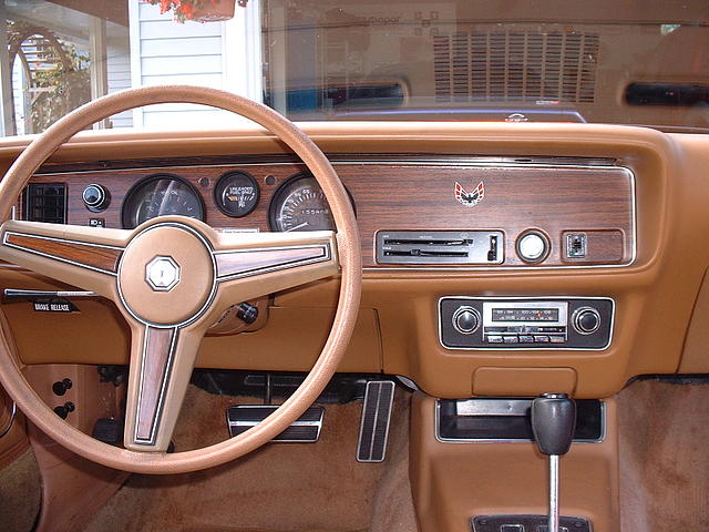 1980 pontiac firebird delta b c v4m3z9 Photo #0079358A