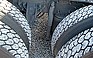 Photo #0080646F