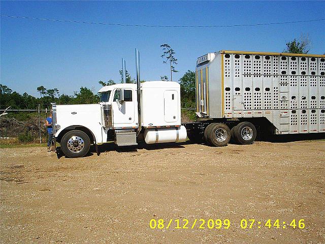 1994 PETERBILT 379 Lufkin Texas Photo #0081699A