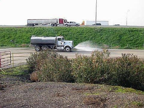 1979 KENWORTH W900 Lathrop California Photo #0081982A