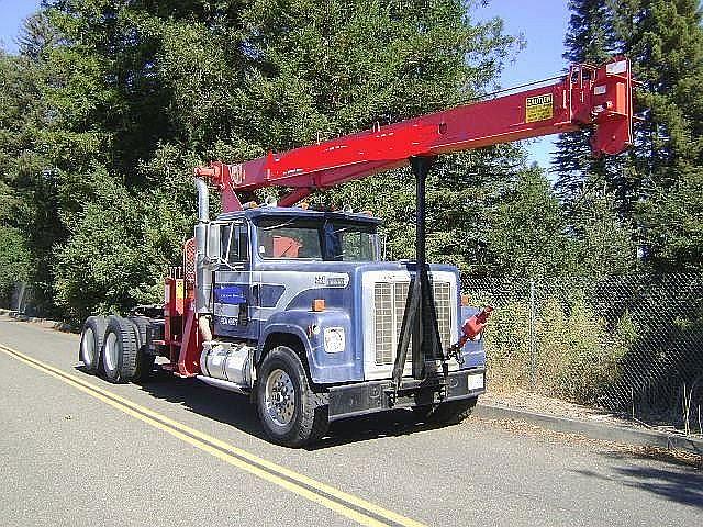 1981 INTERNATIONAL 4300 Healdsburg California Photo #0085086E