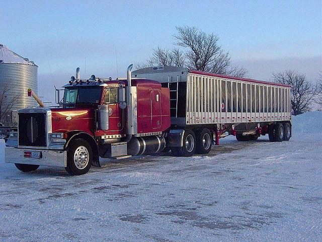 1999 PETERBILT 379EXHD Mountain Lake Minnesota Photo #0085479B