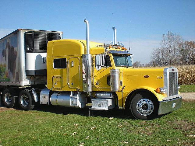 2001 PETERBILT 379EXHD Kellogg Minnesota Photo #0086008C