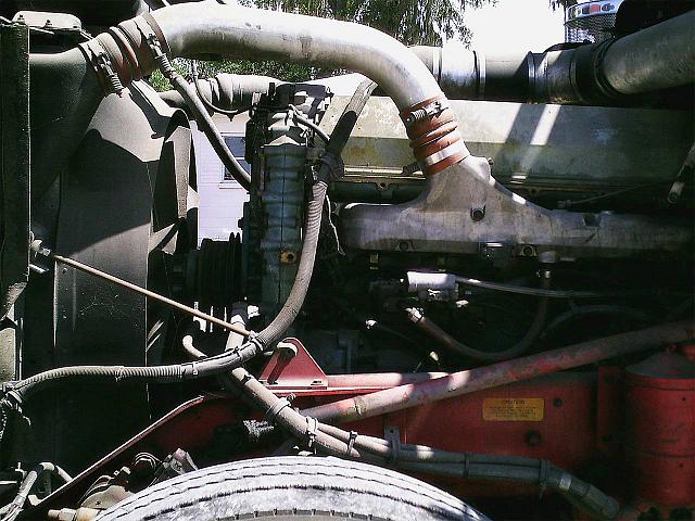 1993 KENWORTH W900L Tampa Florida Photo #0095044A