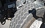 Photo #0101600I