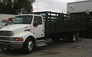 Photo #0125878A