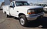 Show the detailed information for this 1996 FORD F250.